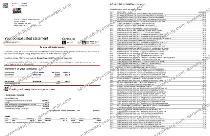 USA IBC bank statement 5 page